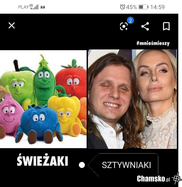 Nowa kolekcja