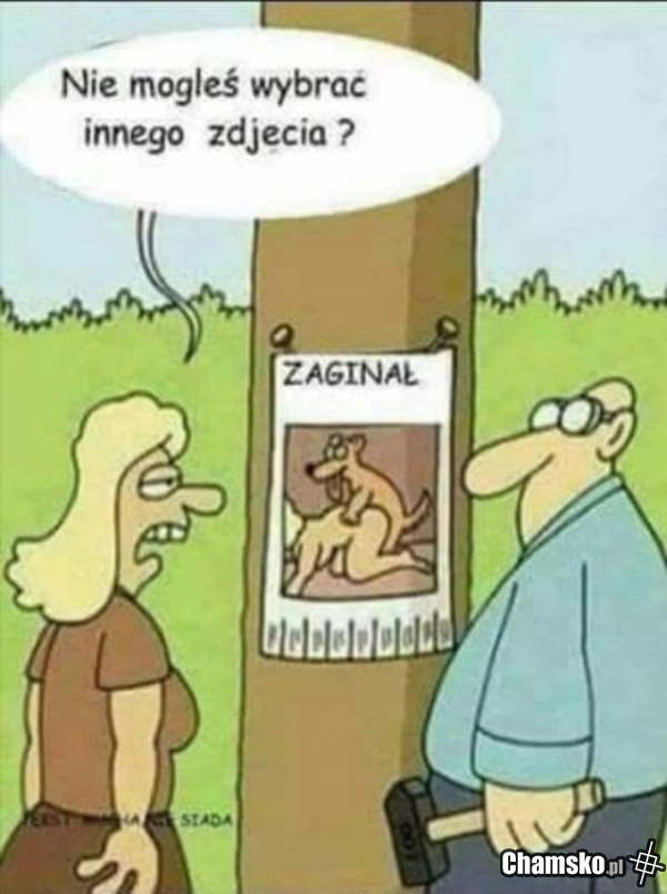 Inne zdjęcie