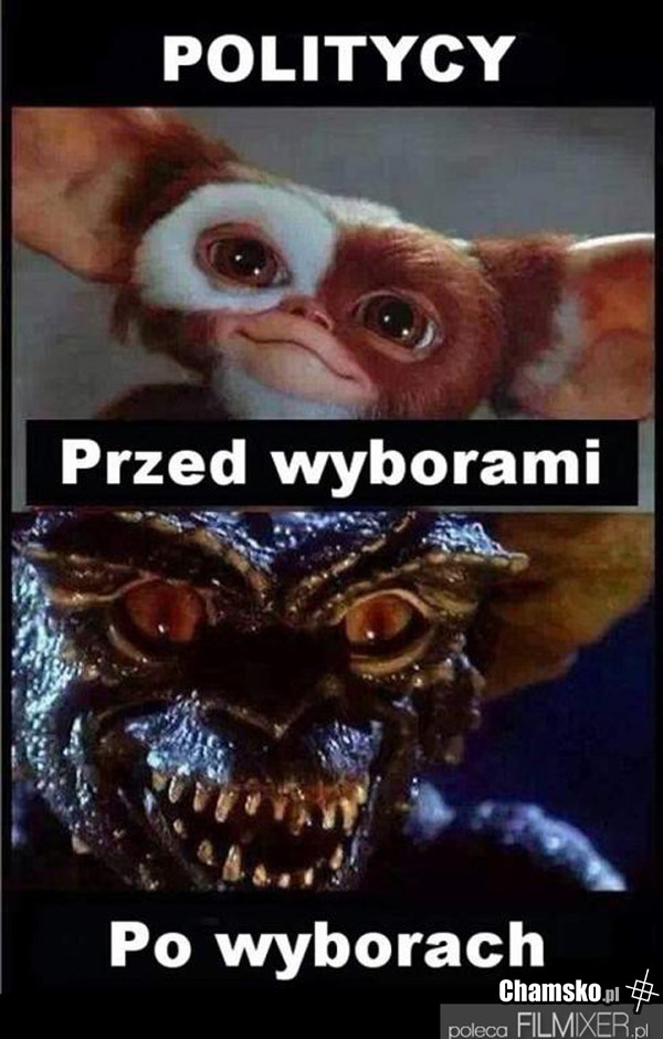 Politycy - przed i po wyborach