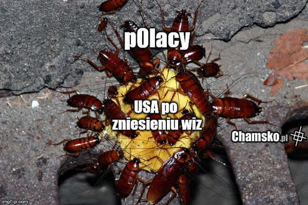 Zniesienie wiz