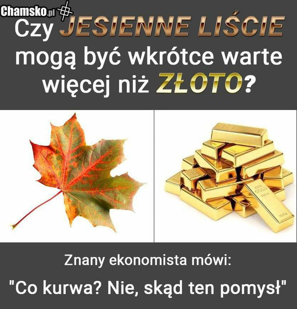 Prawdziwa Reklama