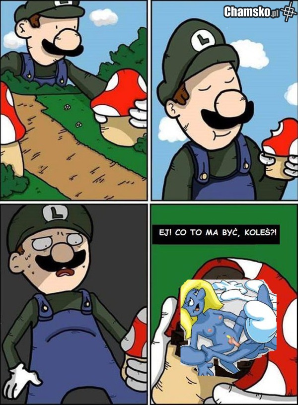 KOLEŚ, CO TO, KURWA, MA BYĆ DO CHOLERY?!