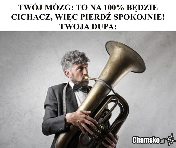 Cichacz