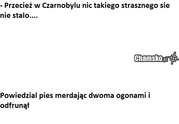 Czarnobyl cz. IV