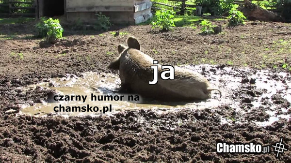 Czarny humor