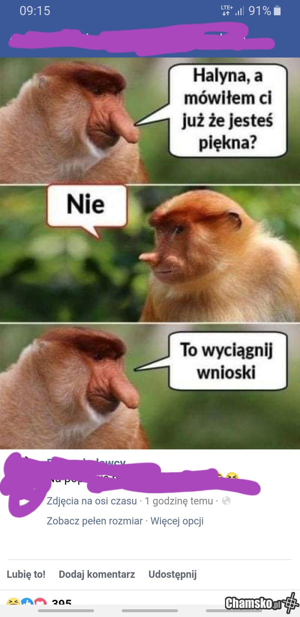 Kurła Halyna