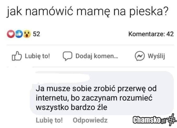 Piesek