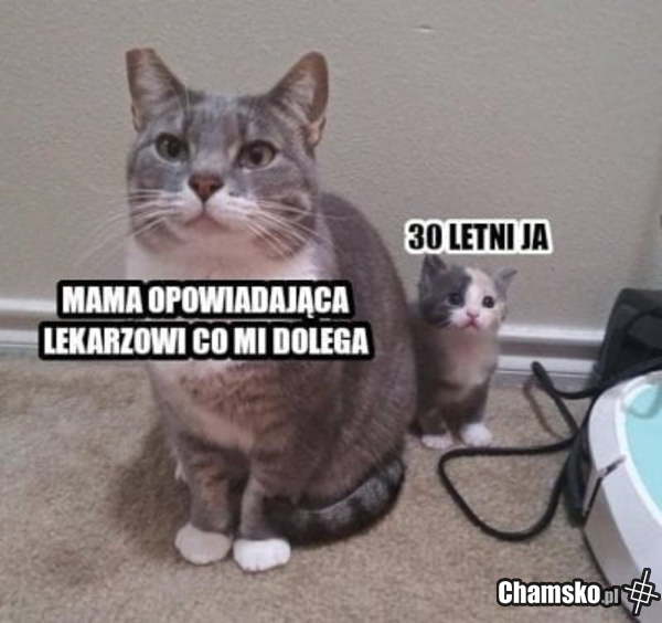 Lekarz