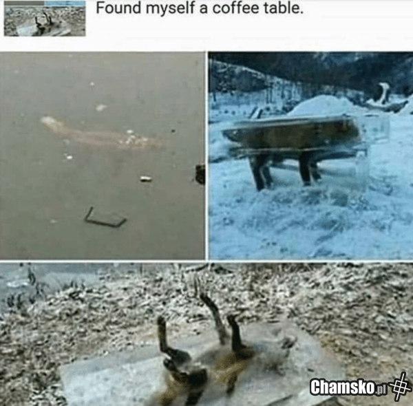 Coffee table