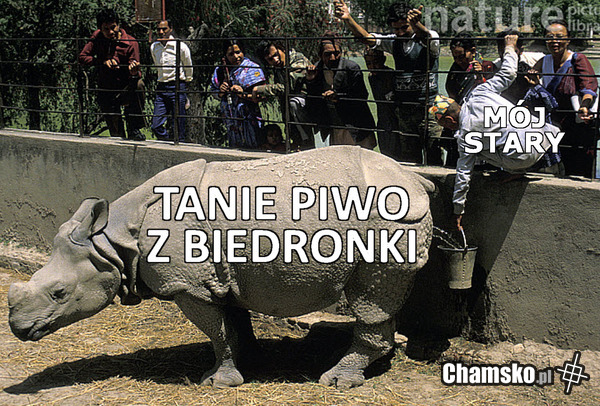Tanie piwo z Biedronki
