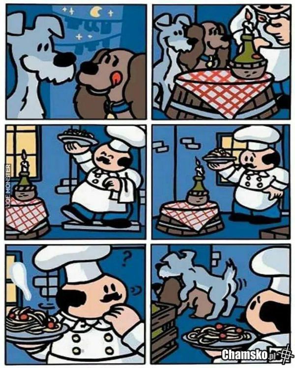Zakochany kundel z Brazzers