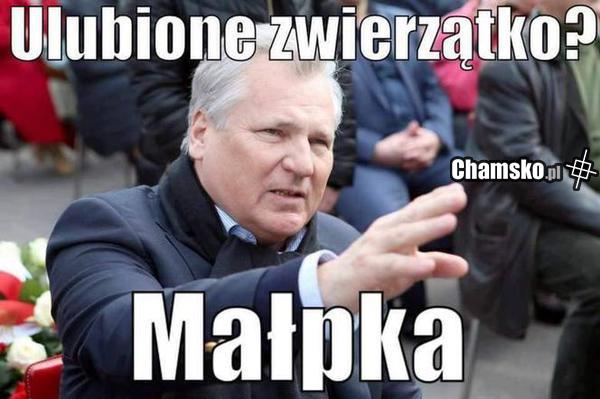Kwachu ziomek