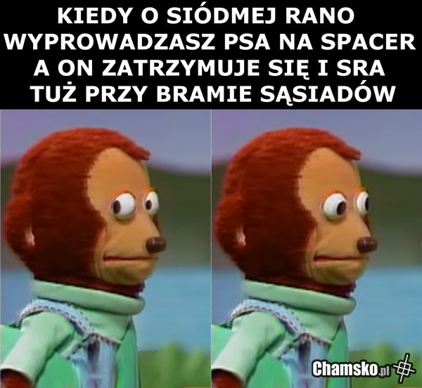 Poranny spacer