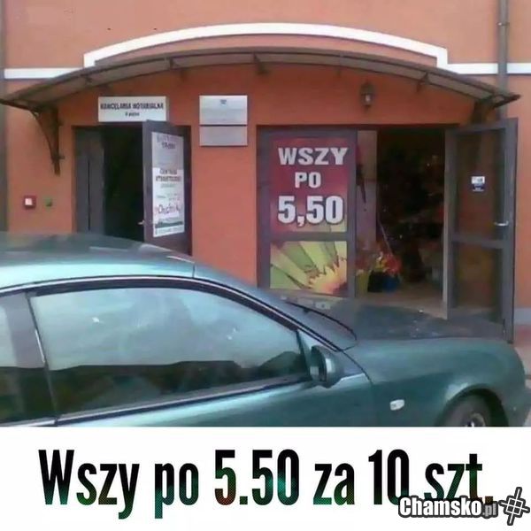 Promocja