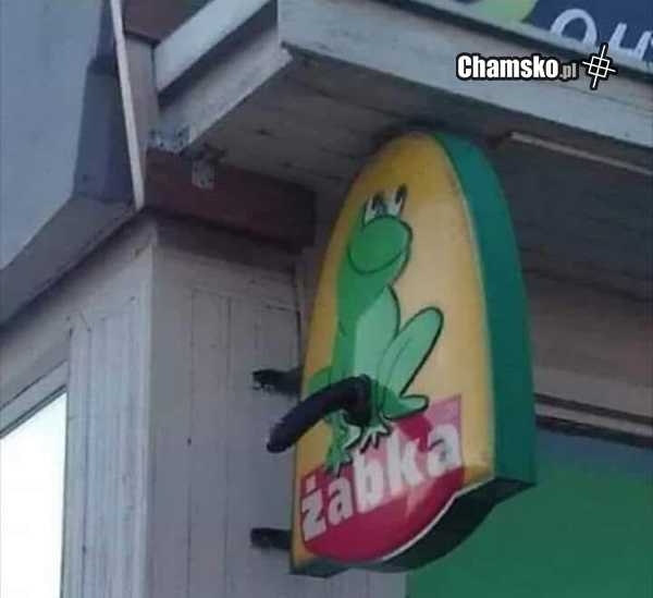 Fajna ta żabka, tylko trochę ch*jowa.