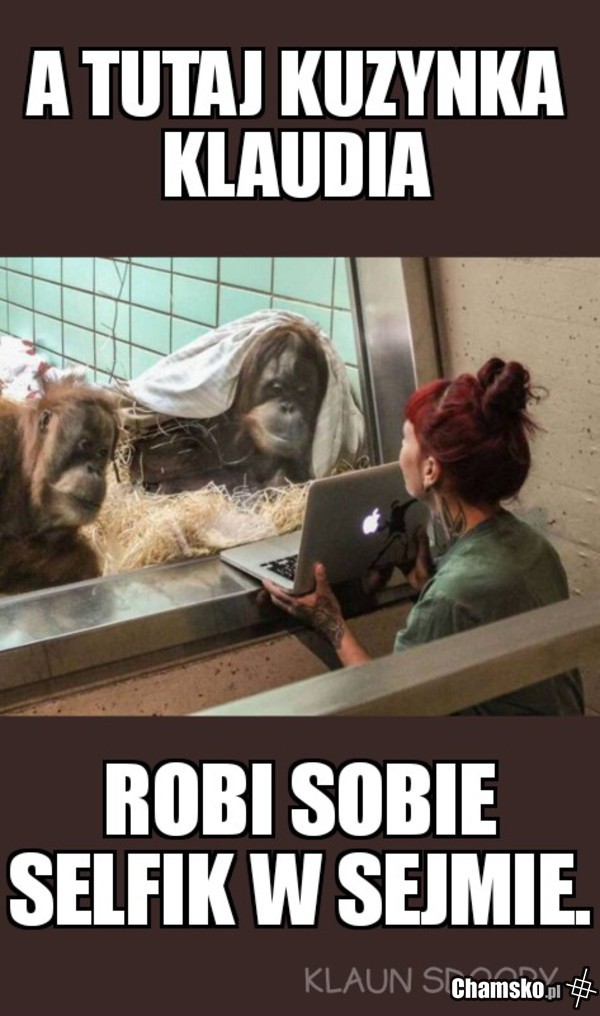 Rodzinnie