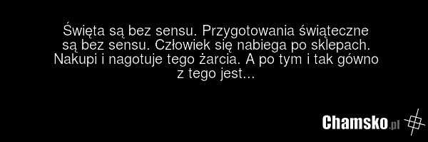 Święta są bez sensu. Przygotowania świąteczne są bez sensu. Człowiek się nabiega po sklepach. Nakupi i nagotuje tego żarcia. A po tym i tak gówno z tego jest...