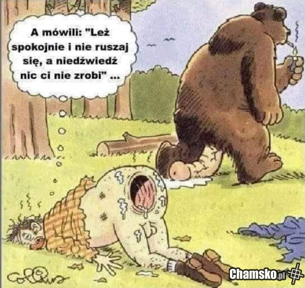 Leż spokojnie...