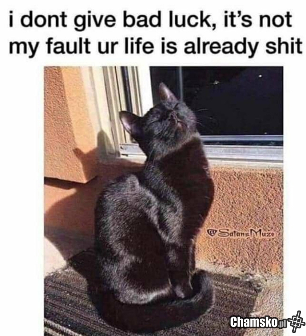 Bad Luck