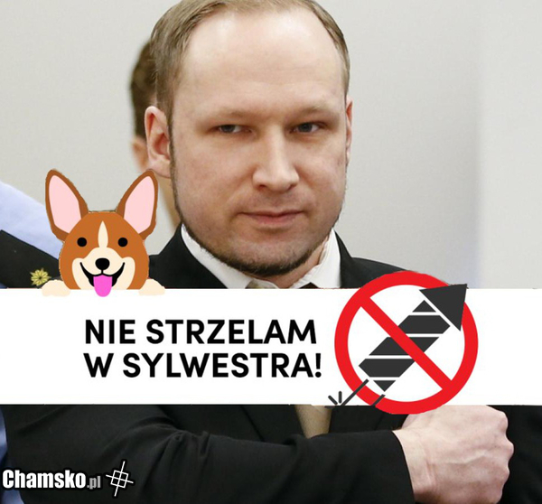 Nie strzelam w sylwestra