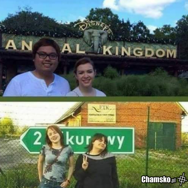 Anal Kingdom