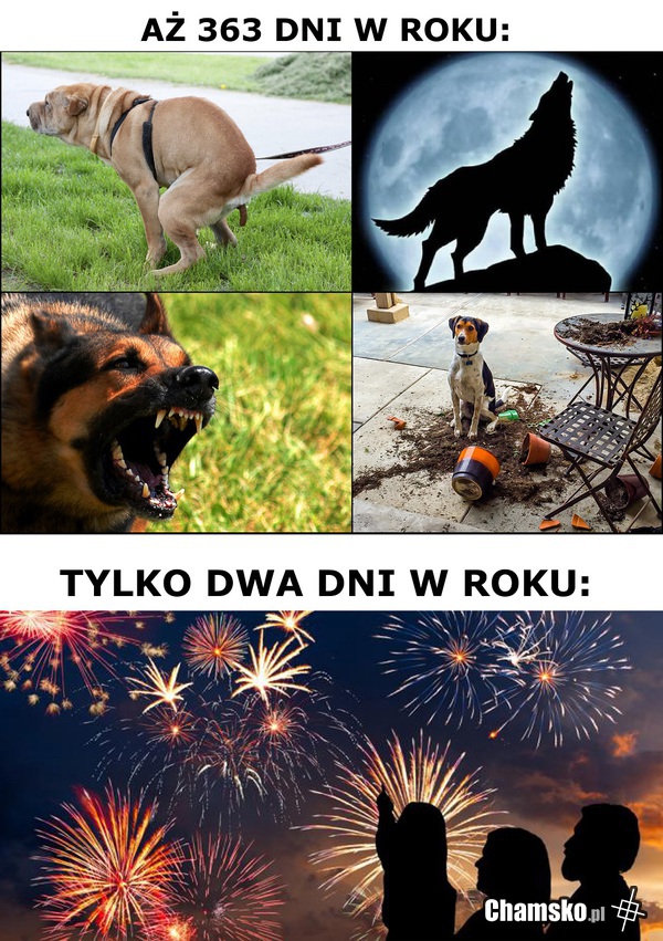 To tylko dwa dni w roku