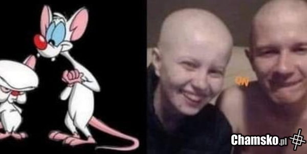 Marlenka i Rafatus