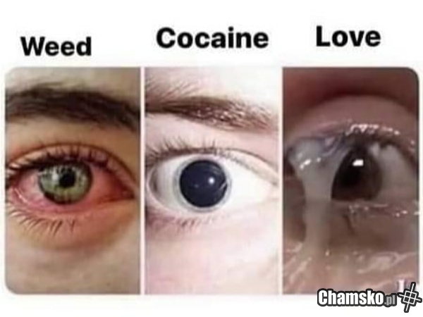 Lo♡e