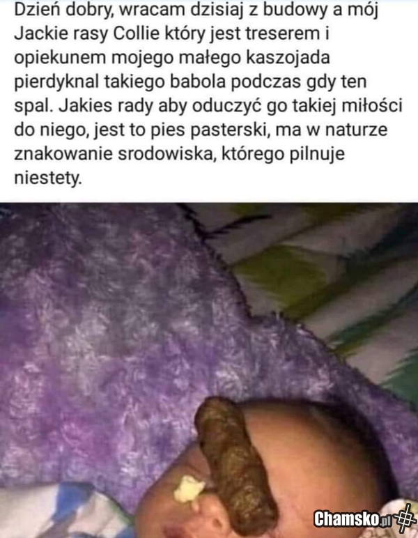 Regularny stolec podstawą dobrego samopoczucia