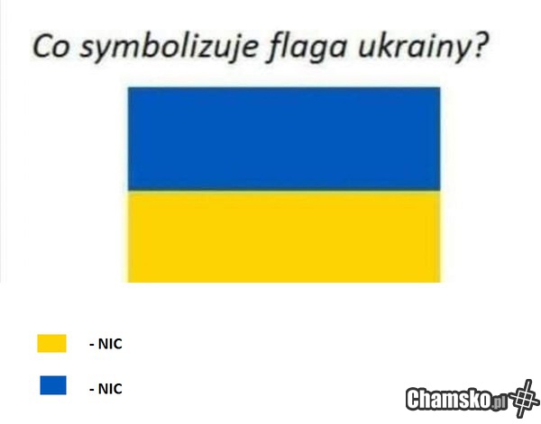 Flaga ukrainy