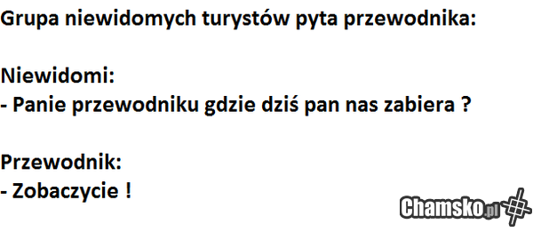 zajebisty przewodnik