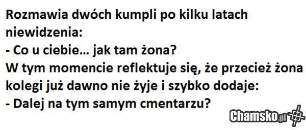 Fopa i nietakt cz. II