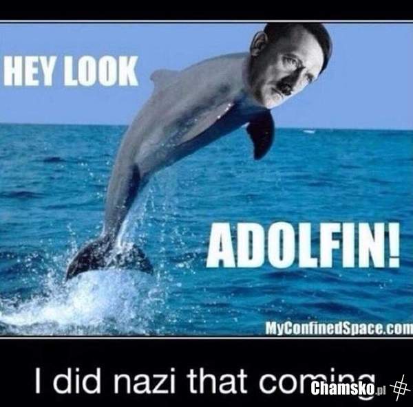 Adolfin