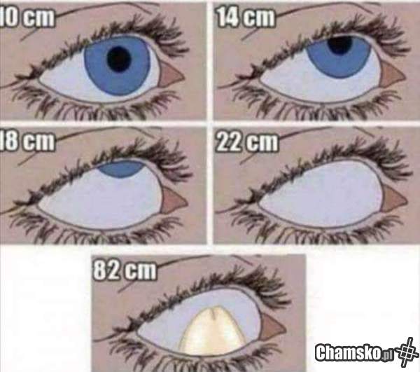82cm