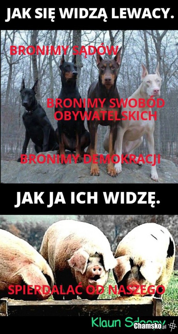 Wistość rzeczy.