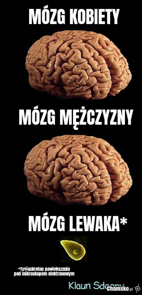 Naukowo wyjaśnione.