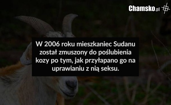 Autentyk