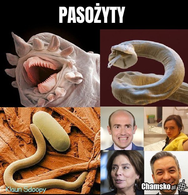 Pasożydy.