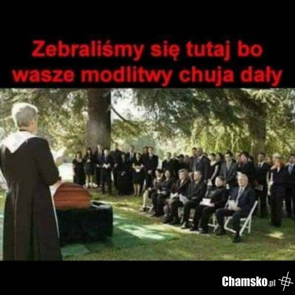 Nic nie dały