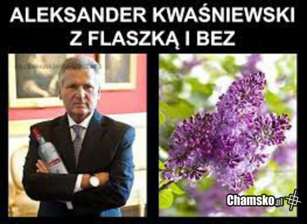 Niezawodny Kwachu
