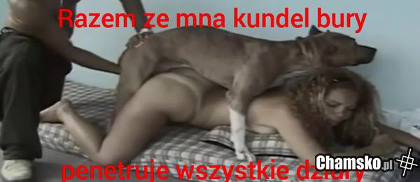 Kundel bury