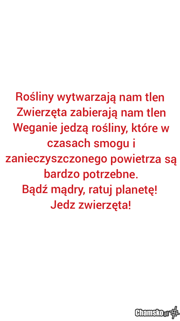 A niby tacy eko