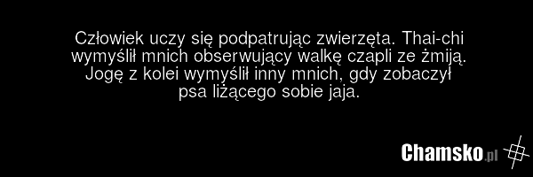 Człowiek uczy się podpatrując zwierzęta. Thai-chi wymyślił mnich obserwujący walkę czapli ze żmiją. Jogę z kolei wymyślił inny mnich, gdy zobaczył psa liżącego sobie jaja.