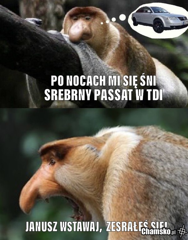 W mym garażu Cię ukryje