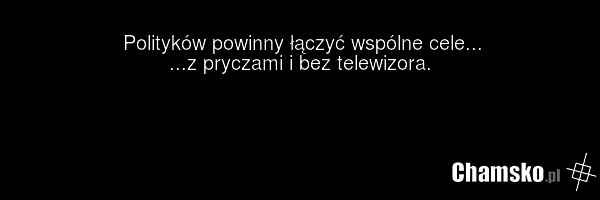 Polityków powinny łączyć wspólne cele... ...z pryczami i bez telewizora.