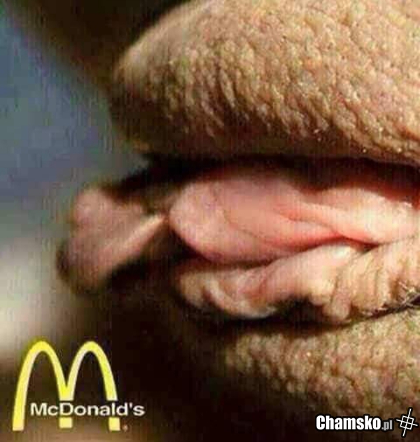 Zestaw McDrwala