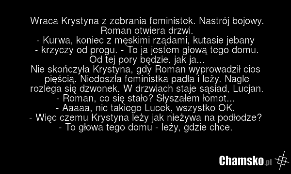 Wraca Krystyna z zebrania feministek. Nastrój bojowy. Roman otwiera drzwi. - Kurwa, koniec z męskimi rządami, kutasie jebany - krzyczy od progu. - To ja jestem głową tego domu. Od tej pory będzie, jak ja... Nie skończyła Krystyna, gdy Roman wyprowadził cios pięścią. Niedoszła feministka padła i leż…