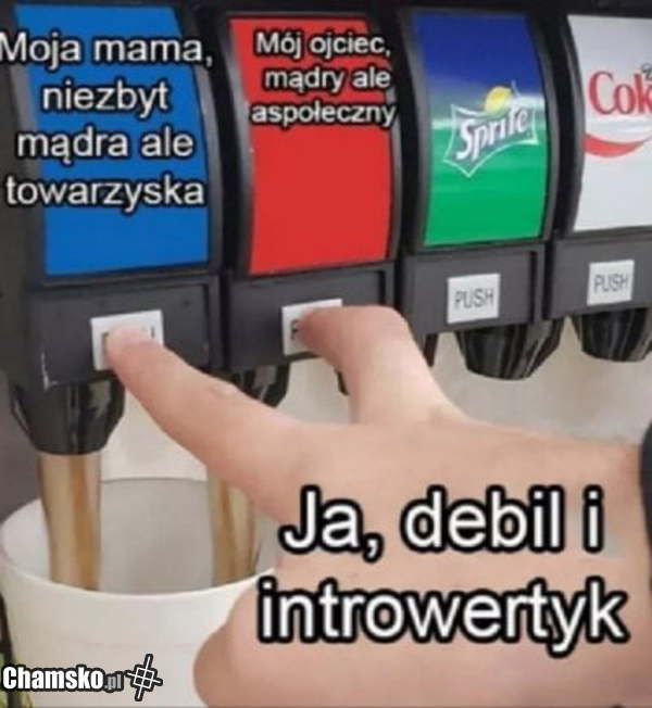 Rodzina
