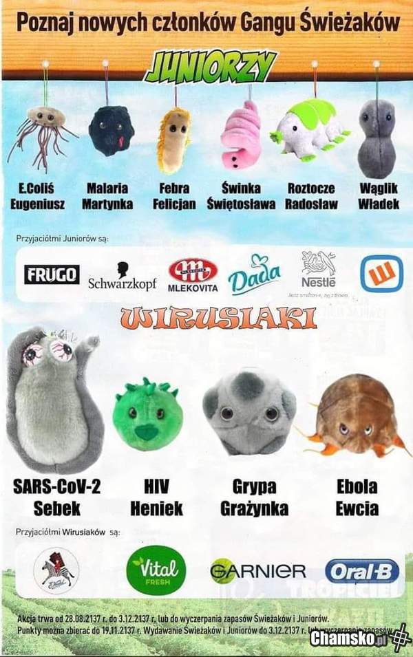 Nowy gang w Biedrze!
