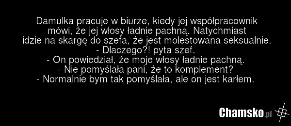 Damulka pracuje w biurze, kiedy jej współpracownik mówi, że jej włosy ładnie pachną. Natychmiast idzie na skargę do szefa, że jest molestowana seksualnie. - Dlaczego?! pyta szef. - On powiedział, że moje włosy ładnie pachną. - Nie pomyślała pani, że to komplement? - Normalnie bym tak pomyślała, ale…